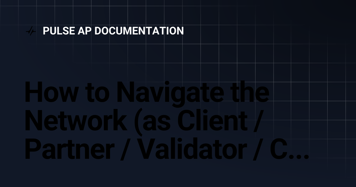 How to Navigate the Network (as Client / Partner / Validator / Chain ...